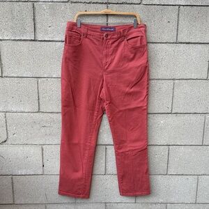 Stretch Jean Pants in Brick Red